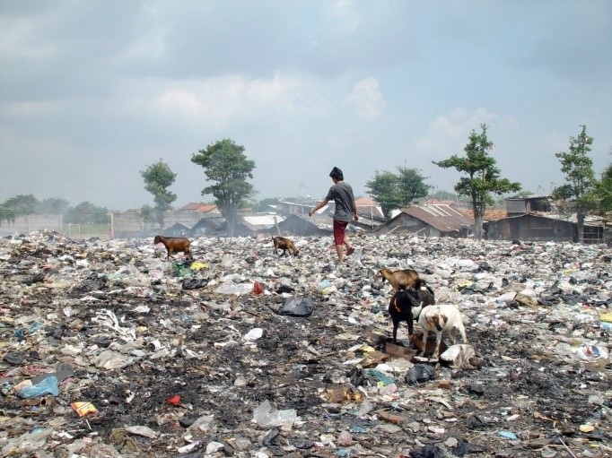 Figure 2: Landfills - Still an issue in some developing countries (Image courtesy: Wikicommons).