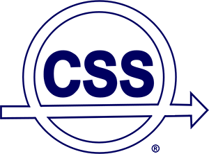 Control Systems Society logo 300x222 1